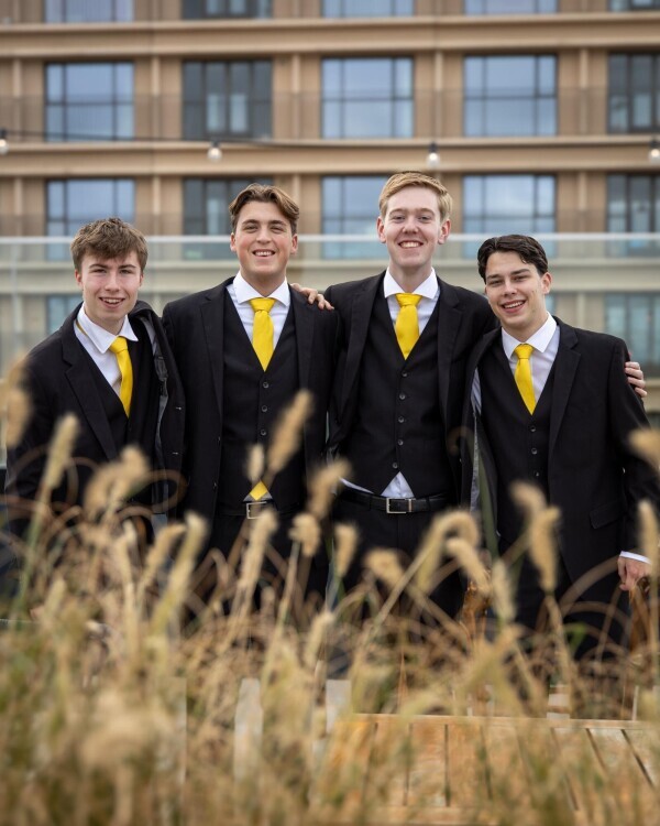 afbeelding van Bestuur V